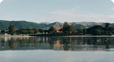 Nelson